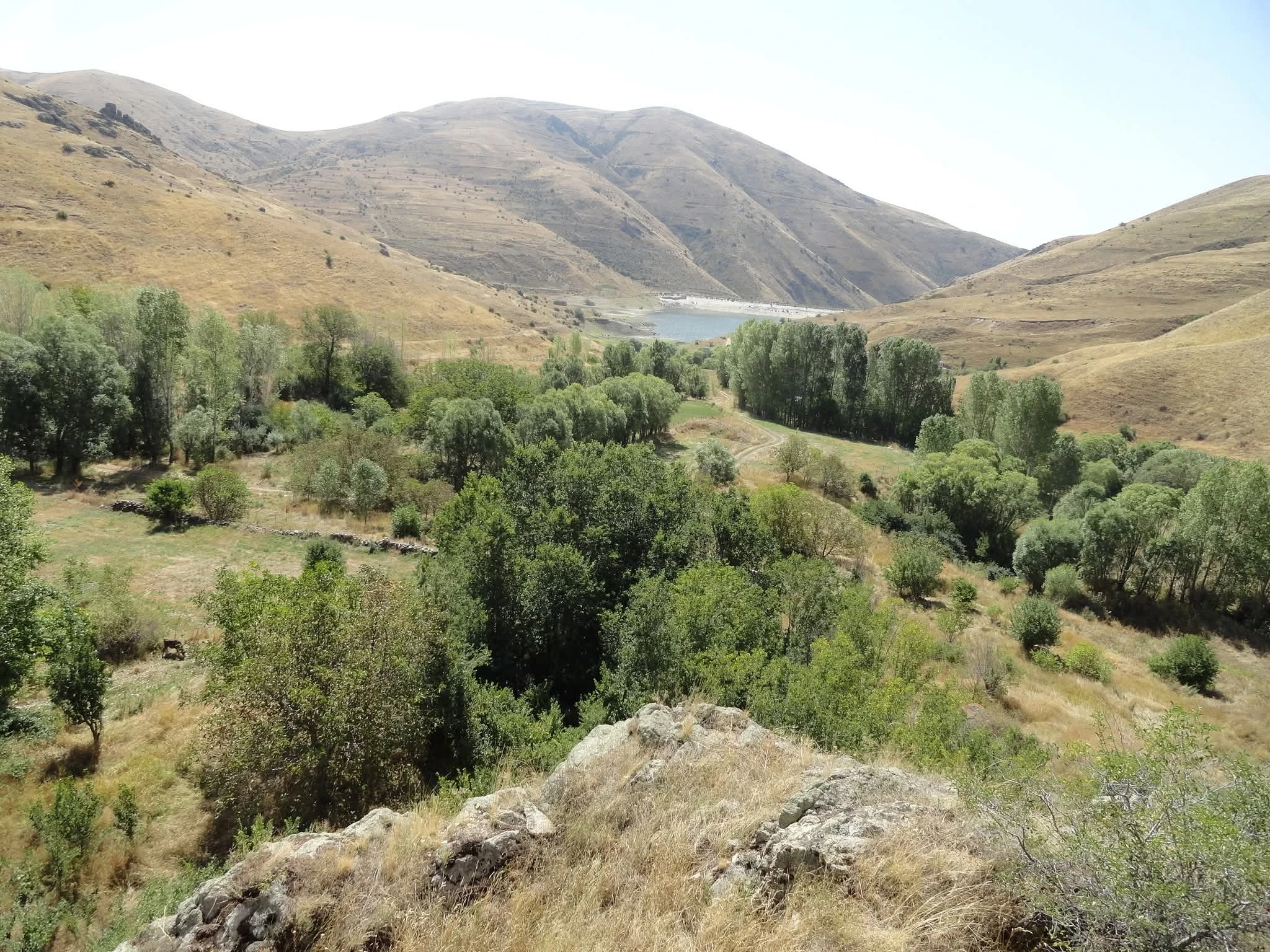 bacahaytir-araraty-hvorthvoun-gyvoughateghi