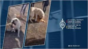 masisi-hamaynqayin-vostikanery-kankhecin-shnamarty-hh-ngn-vostikanvouthyvoun